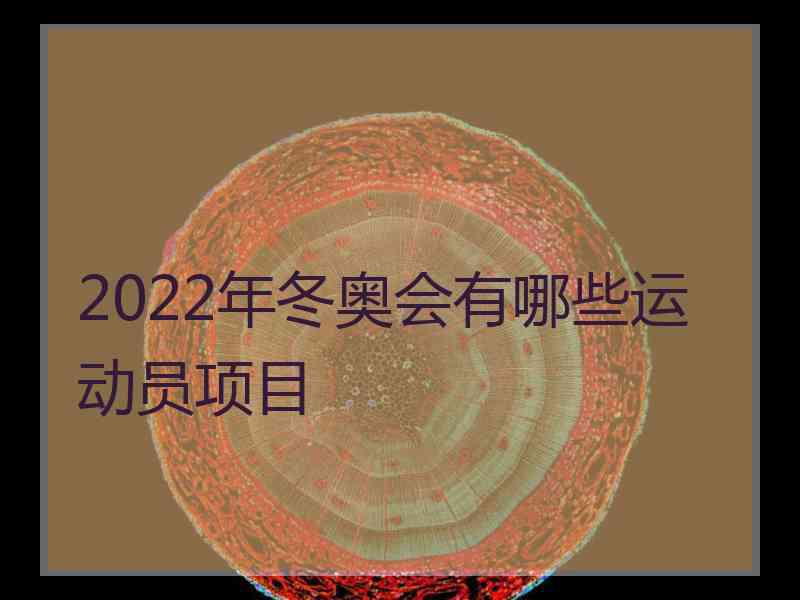 2022年冬奥会有哪些运动员项目