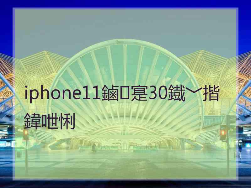 iphone11鏀寔30鐡﹀揩鍏呭悧