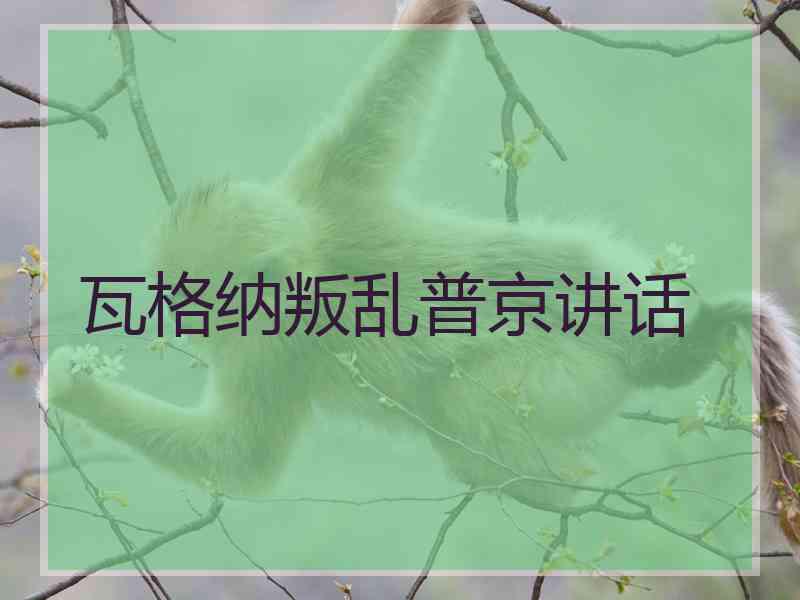 瓦格纳叛乱普京讲话