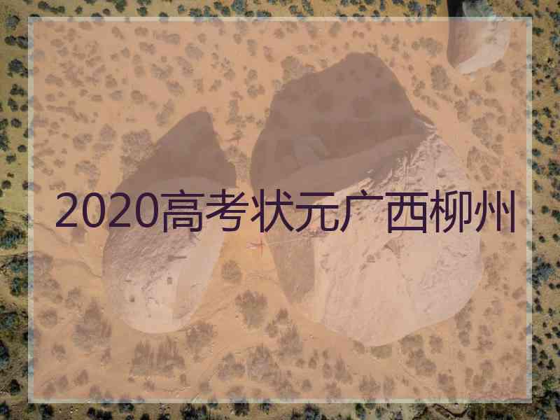 2020高考状元广西柳州