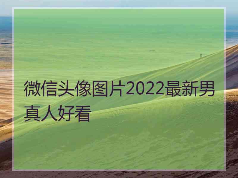 微信头像图片2022最新男真人好看