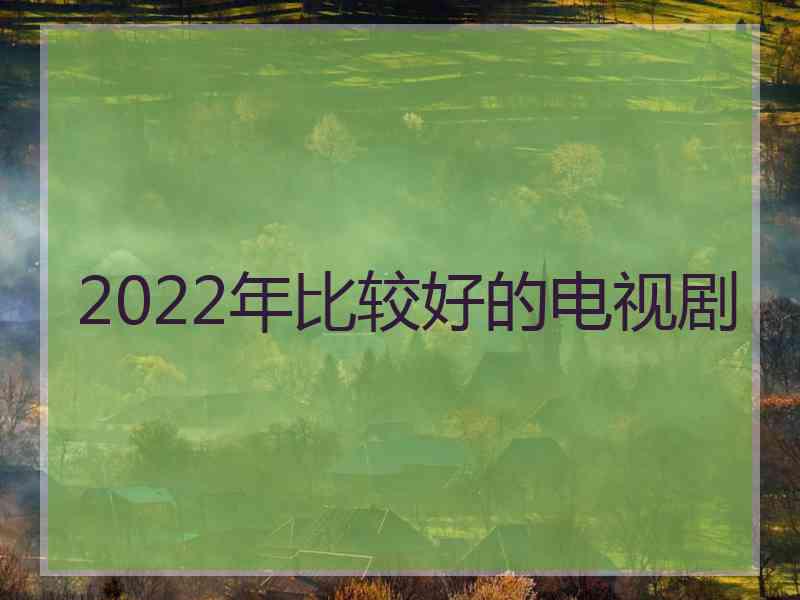 2022年比较好的电视剧