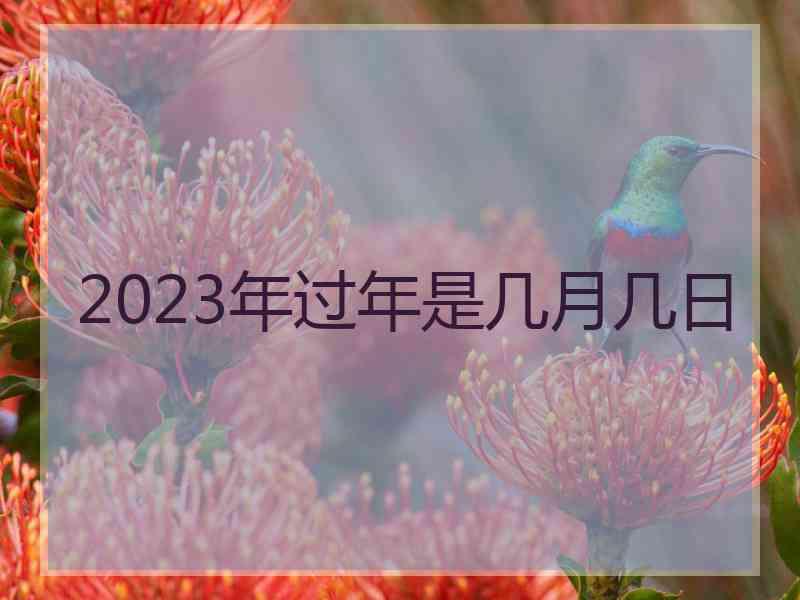 2023年过年是几月几日