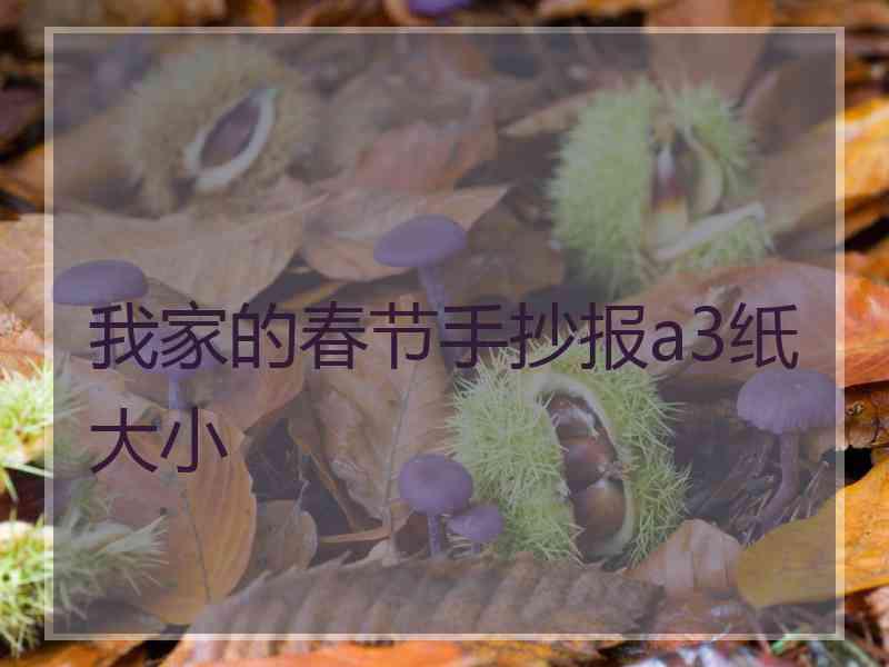 我家的春节手抄报a3纸大小