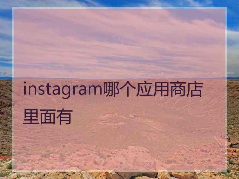 instagram哪个应用商店里面有