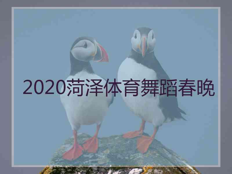 2020菏泽体育舞蹈春晚