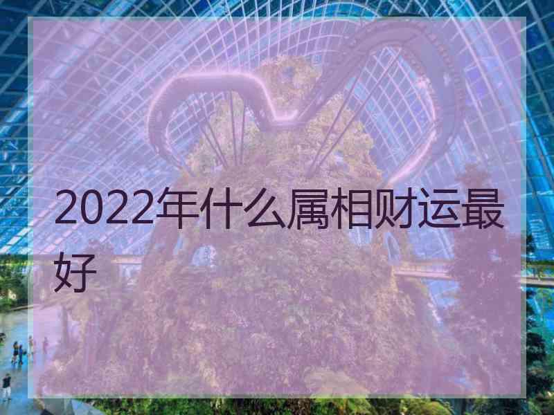 2022年什么属相财运最好