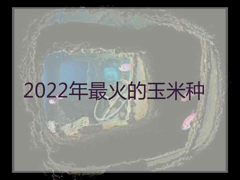 2022年最火的玉米种