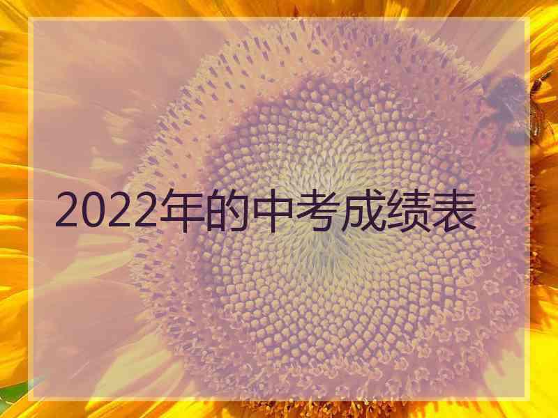 2022年的中考成绩表