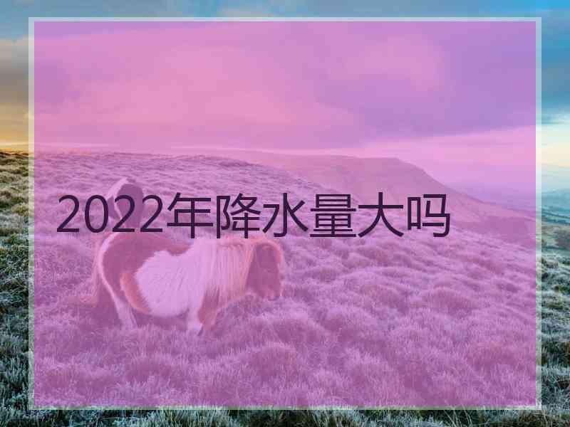 2022年降水量大吗