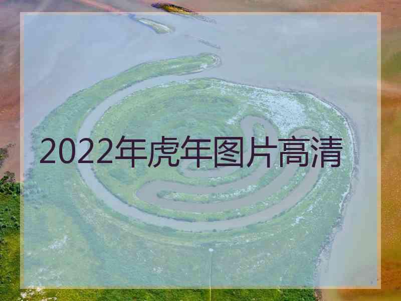 2022年虎年图片高清