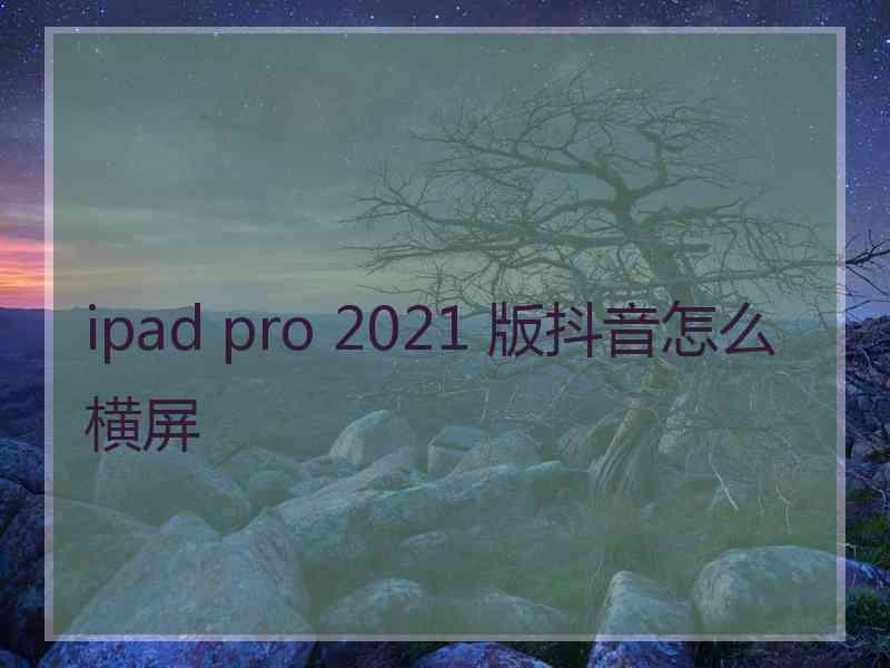 ipad pro 2021 版抖音怎么横屏