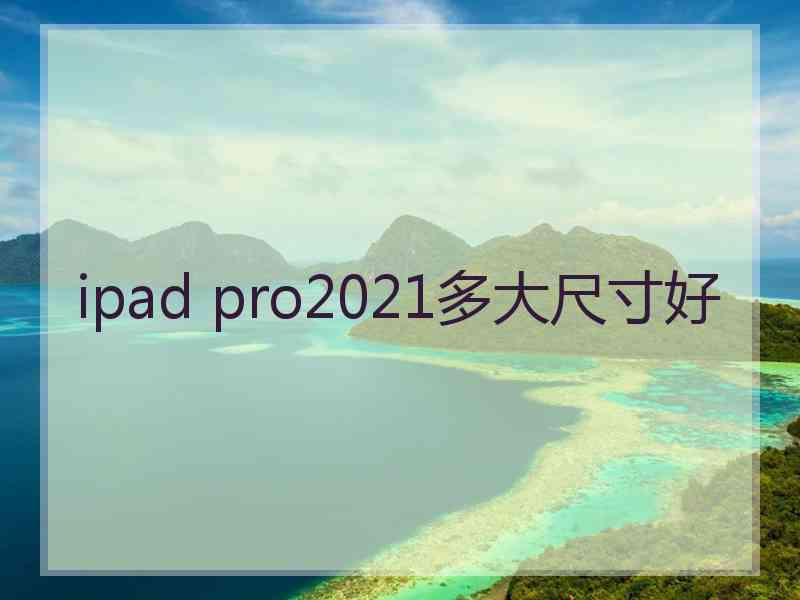 ipad pro2021多大尺寸好