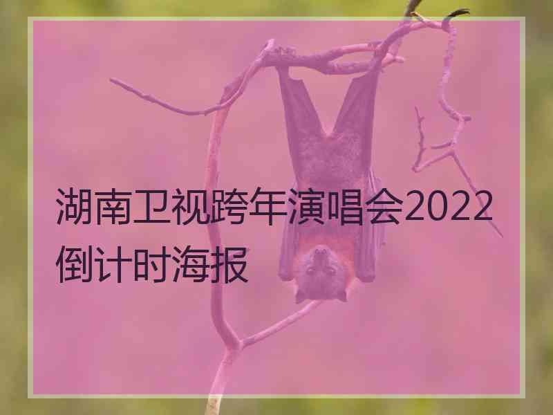 湖南卫视跨年演唱会2022倒计时海报