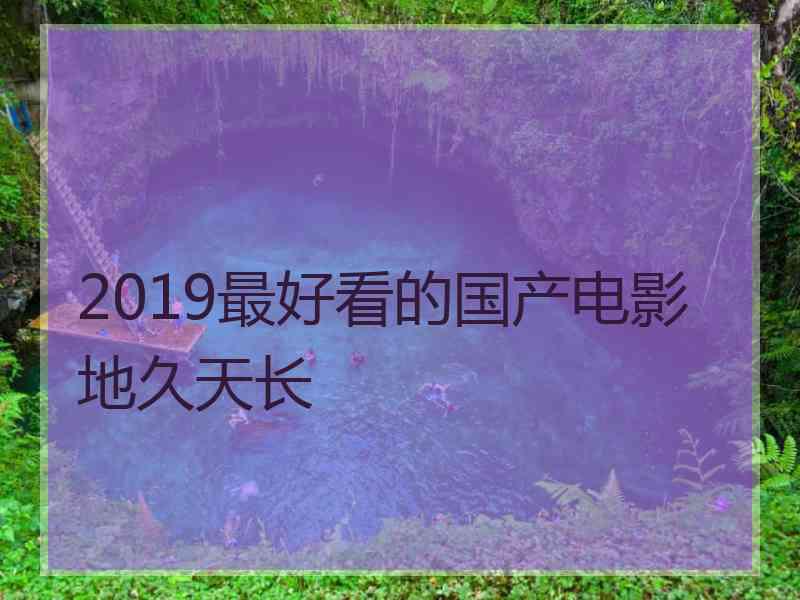 2019最好看的国产电影地久天长