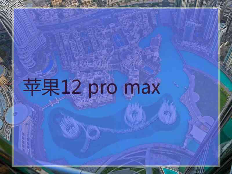 苹果12 pro max