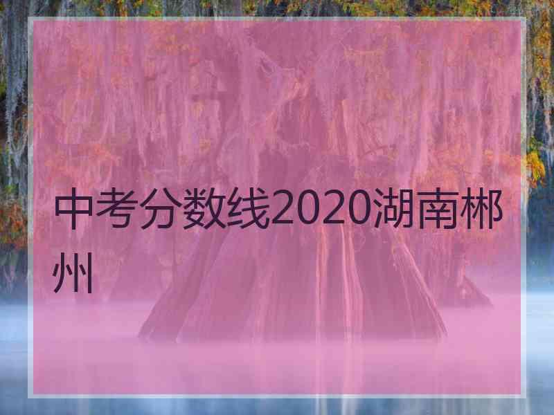 中考分数线2020湖南郴州