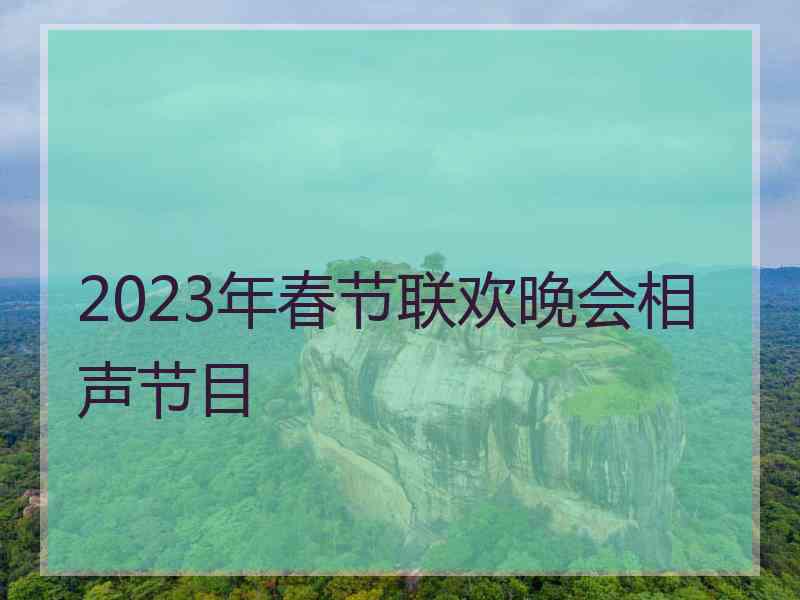 2023年春节联欢晚会相声节目