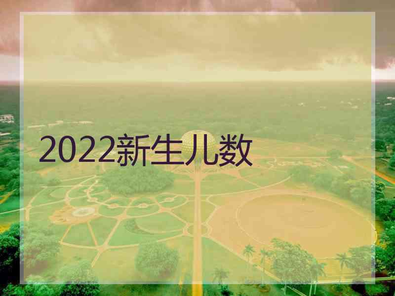 2022新生儿数