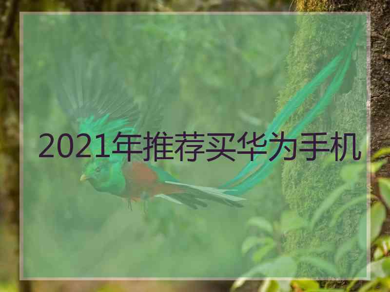 2021年推荐买华为手机