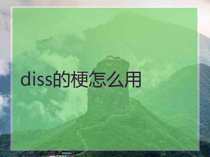 diss的梗怎么用