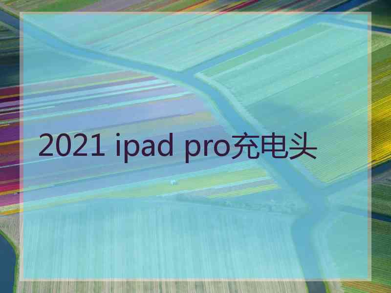 2021 ipad pro充电头