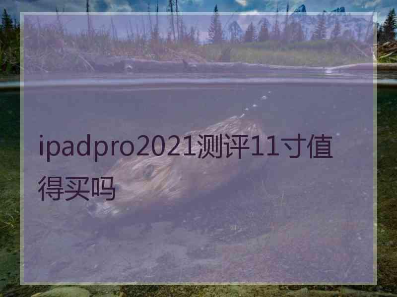 ipadpro2021测评11寸值得买吗