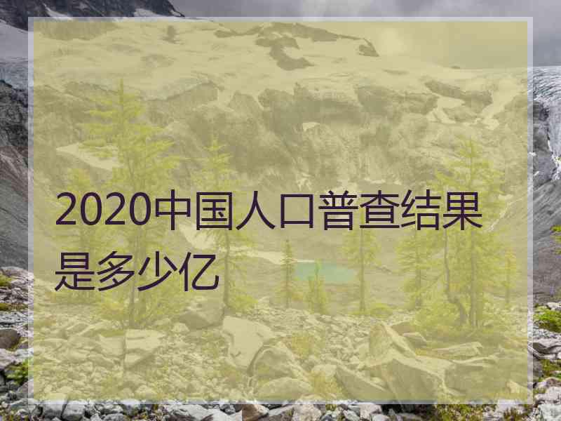 2020中国人口普查结果是多少亿