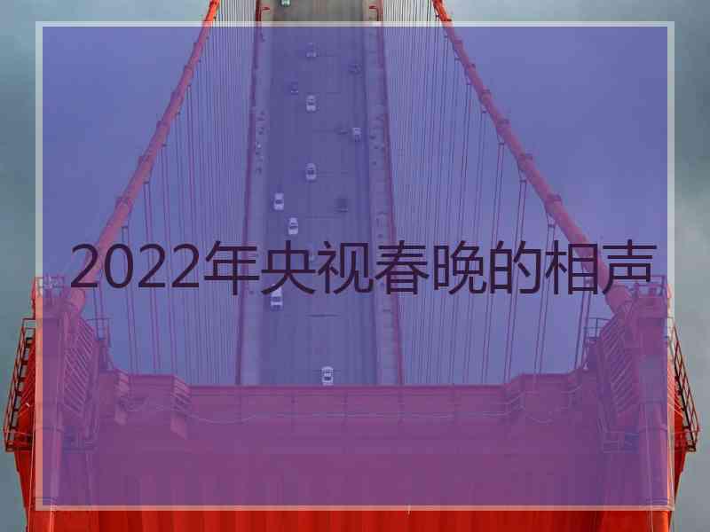 2022年央视春晚的相声