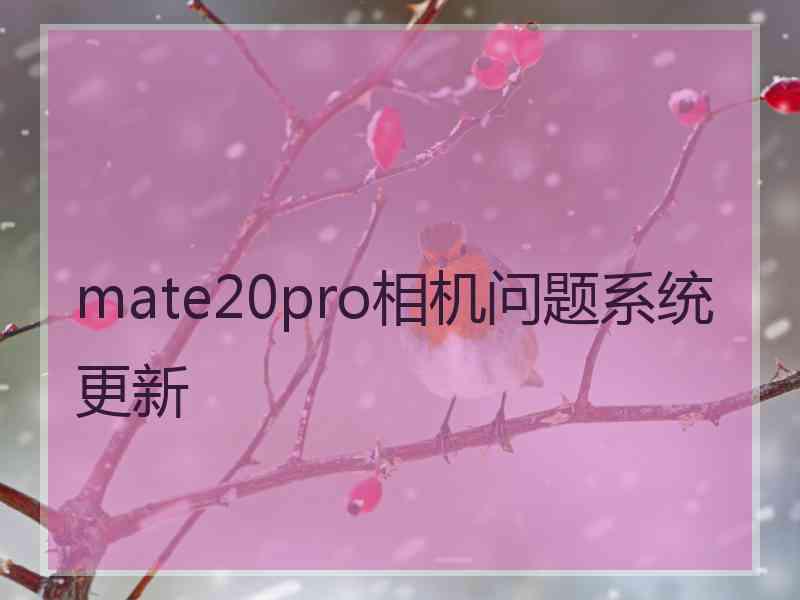 mate20pro相机问题系统更新