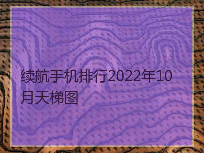 续航手机排行2022年10月天梯图