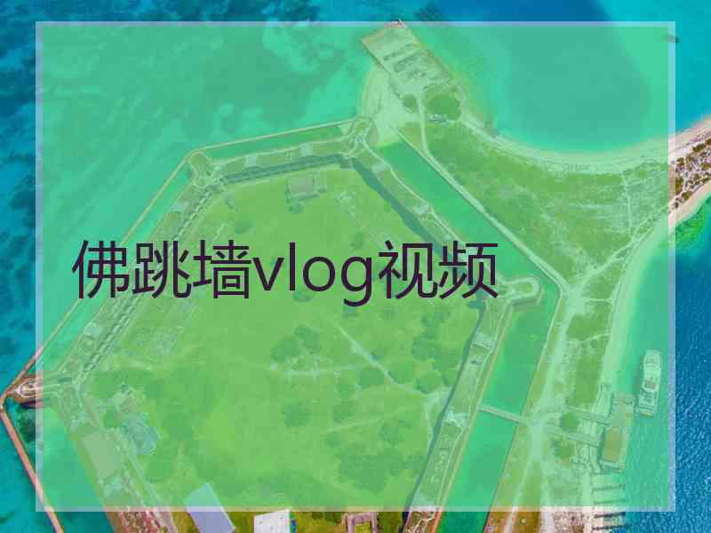 佛跳墙vlog视频