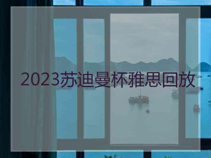 2023苏迪曼杯雅思回放