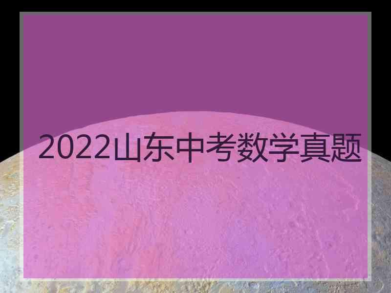 2022山东中考数学真题