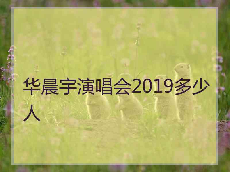 华晨宇演唱会2019多少人