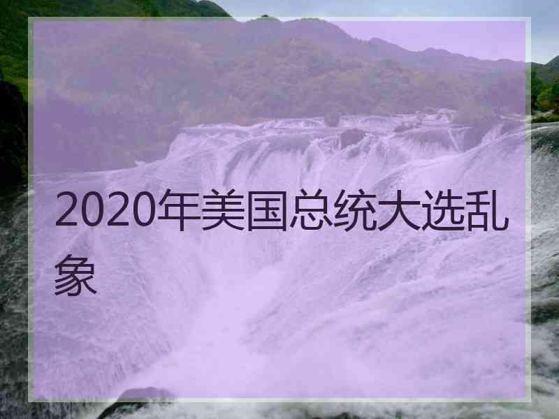 2020年美国总统大选乱象