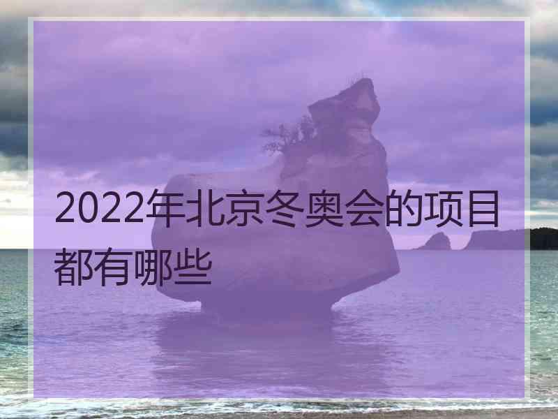 2022年北京冬奥会的项目都有哪些