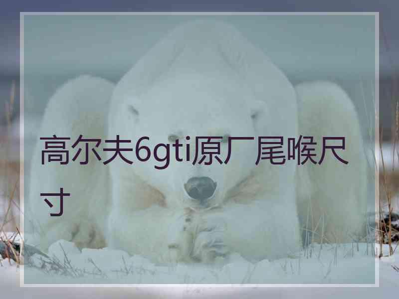 高尔夫6gti原厂尾喉尺寸