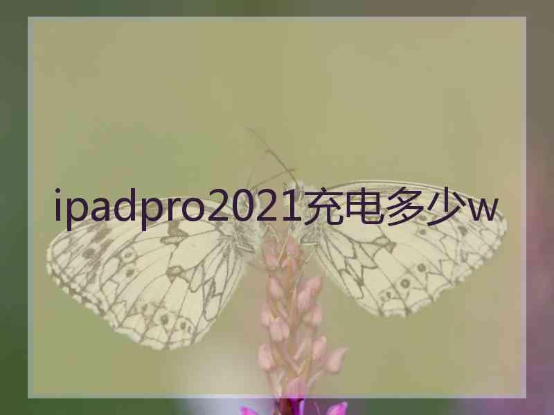 ipadpro2021充电多少w