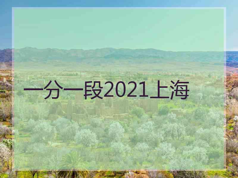 一分一段2021上海