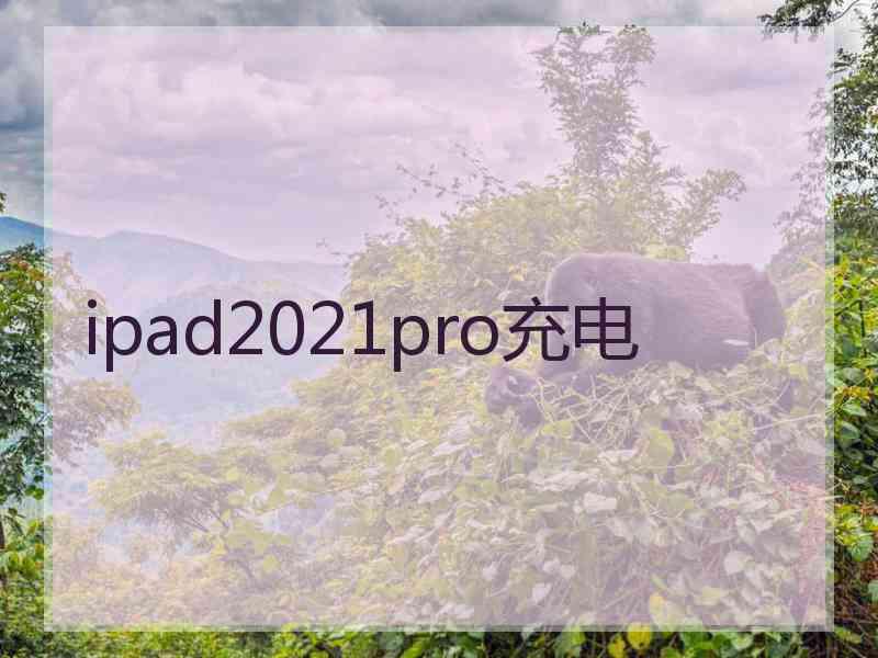 ipad2021pro充电