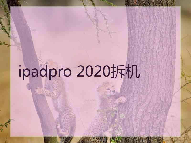 ipadpro 2020拆机