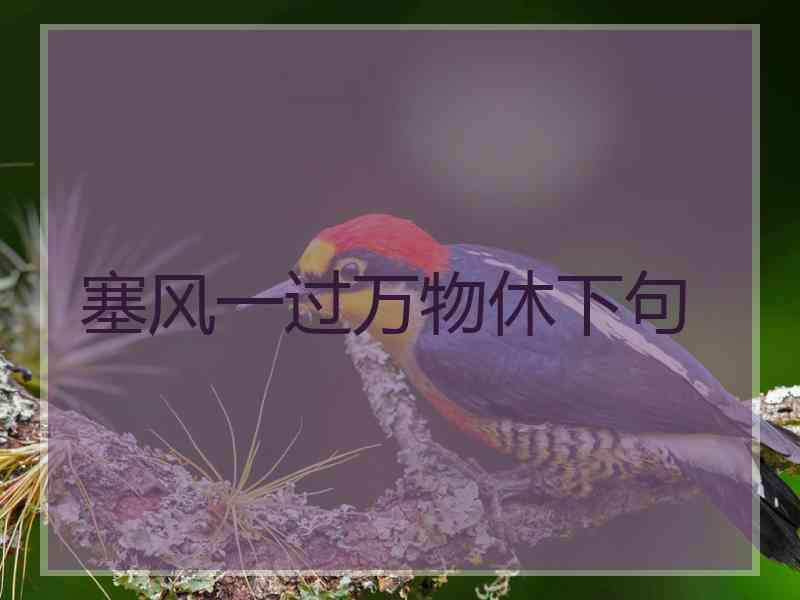 塞风一过万物休下句