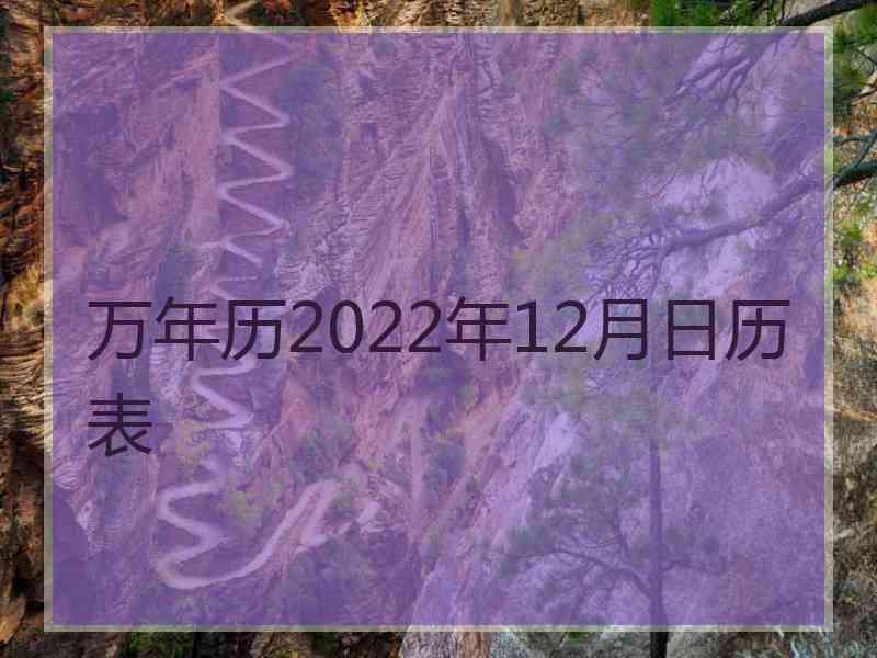 万年历2022年12月日历表