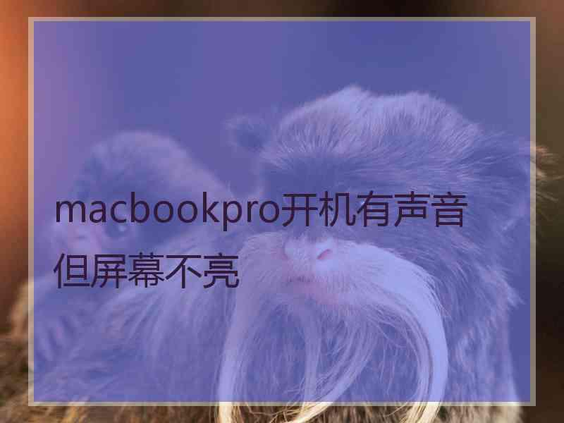 macbookpro开机有声音但屏幕不亮