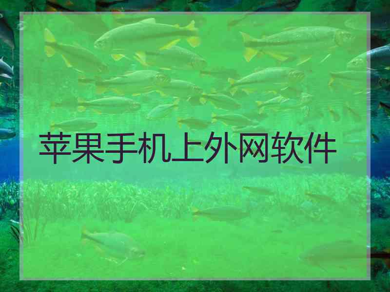 苹果手机上外网软件