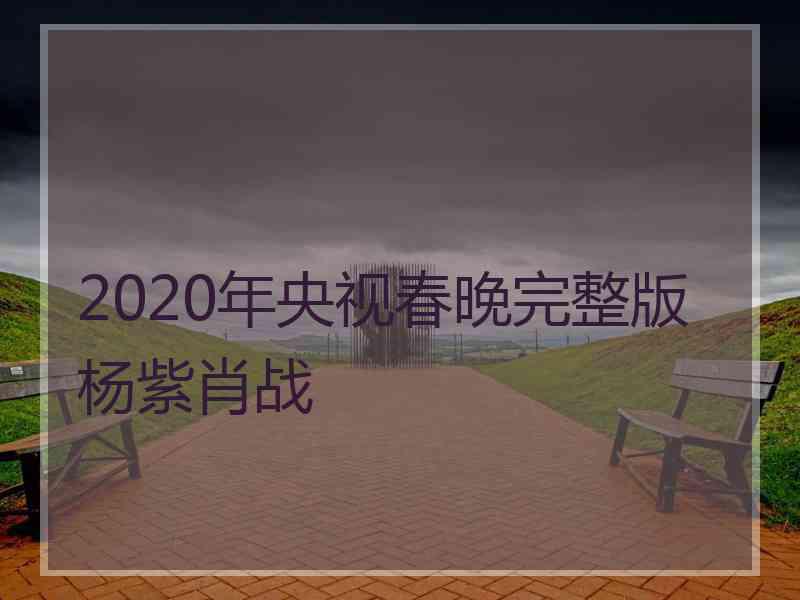 2020年央视春晚完整版杨紫肖战