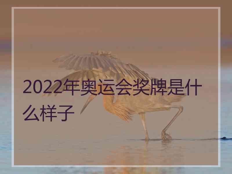 2022年奥运会奖牌是什么样子