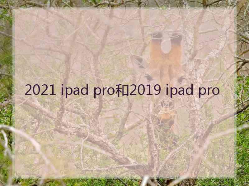 2021 ipad pro和2019 ipad pro