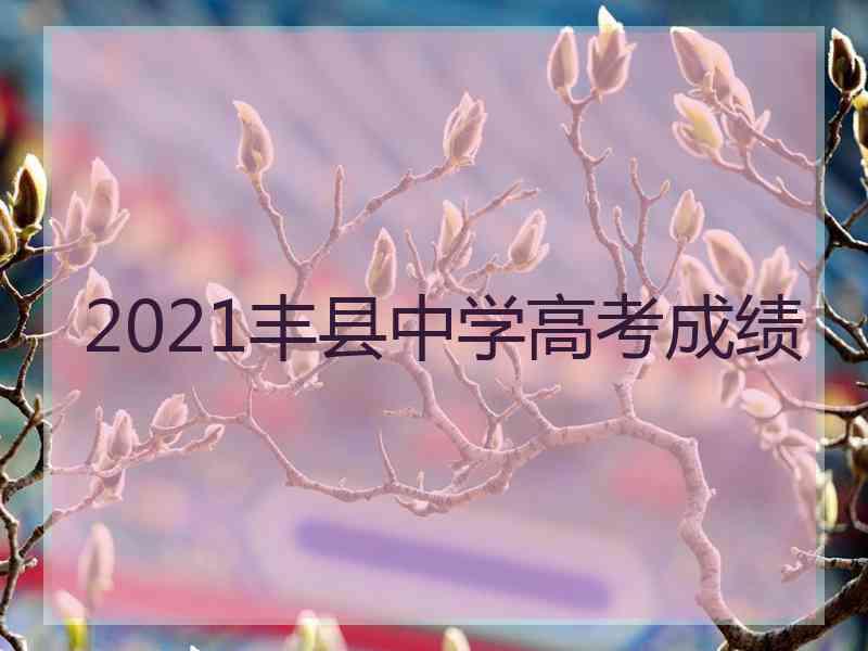 2021丰县中学高考成绩